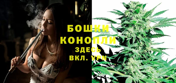 мяу мяу мука Вязьма